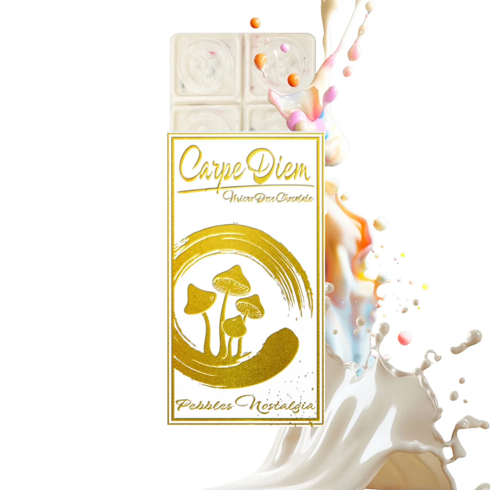 Carpe Diem Mushroom Chocolate Bar